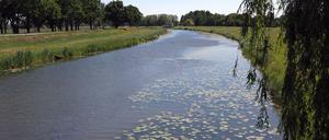 Die Schwarze Elster fließt durch den Kreis Elbe-Elster, die zu den Regionen mit akutem Wassermangel gehört. 