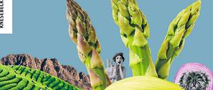 "Atlas Cookbook - in 80 Rezepten um die Welt" von Charlie Carrington, Knesebeck Verlag 2020, 224 Seiten, 28 Euro