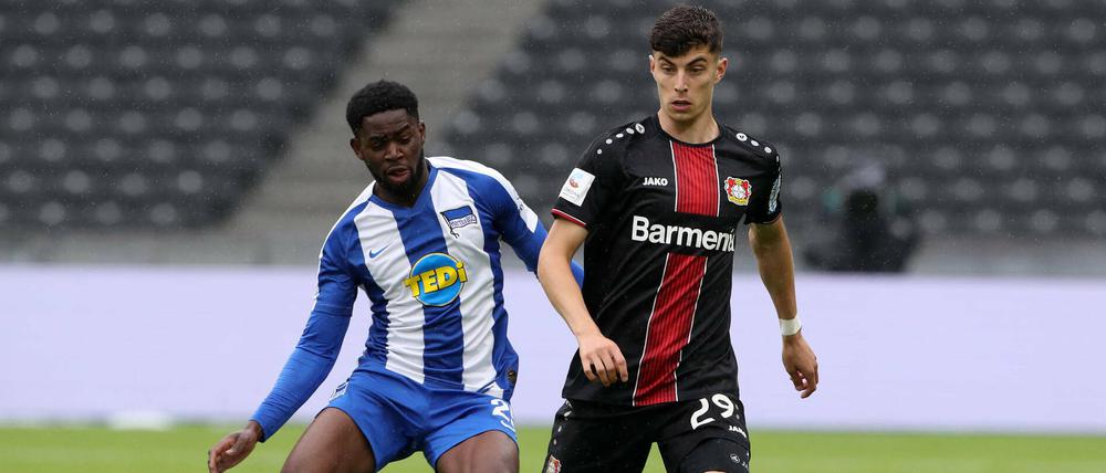 „Er ist ein sehr lernwilliger Spieler, mit dem man sich beschäftigen muss“, sagt Hertha-Trainer Bruno Labbadia über Jordan Torunarigha.