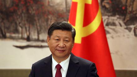 Xi Jinping, Staats- und Parteichef 