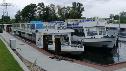 Ausflugsschiffe der Reederei Riedel am Hafen beim Funkhaus Nalepastraße in Treptow-Köpenick.