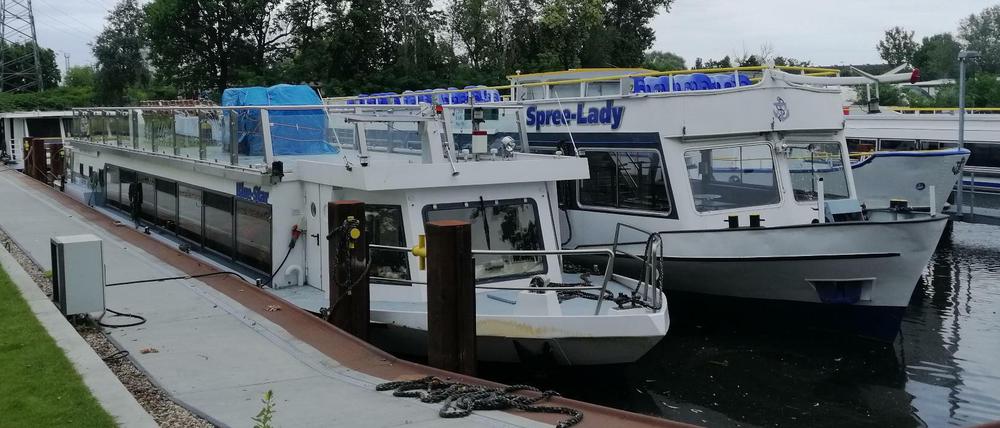 Ausflugsschiffe der Reederei Riedel am Hafen beim Funkhaus Nalepastraße in Treptow-Köpenick.