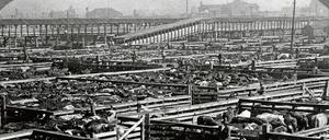 Bald Dosenfleisch. Der größte Lebendtiermarkt der Welt in Chicago, 1903.
