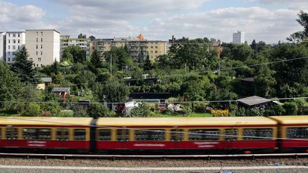 Die Berliner S-Bahn.