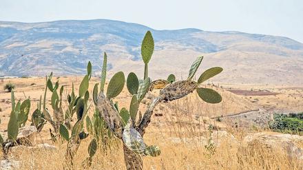 Annexion oder Ausdehnung der Souveränität: Israel reklamiert das Jordantal für sich.
