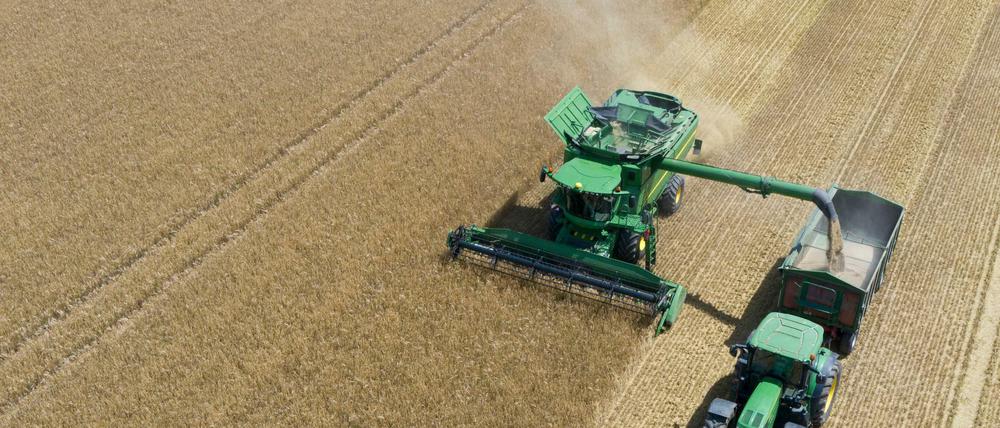 Erntezeit: Deutschland bekommt jährlich 6,35 Milliarden Euro aus dem EU-Agrarfördertopf. 
