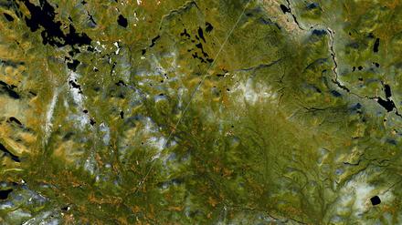 Satellitenaufnahme von Wald in Schweden