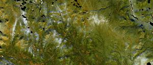 Satellitenaufnahme von Wald in Schweden