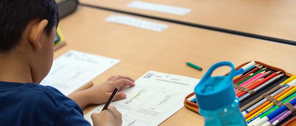 Viele Kinder haben nach der Schulschließung Wissenslücken. Deshalb hat der Senat das Programm Sommerschule aufgelegt.