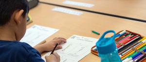 Viele Kinder haben nach der Schulschließung Wissenslücken. Deshalb hat der Senat das Programm Sommerschule aufgelegt.