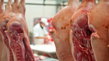 Schweinehälften werden einer Großfleischerei verarbeitet.