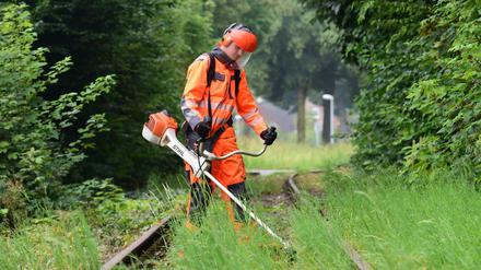 In Bad Ihburg in Niedersachen mäht ein Mitarbeiter der Lappwaldbahn Gleisbau GmbH am Bahnhof das wild wachsende Gras zwischen den Gleisen. 