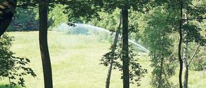 Spritzig. 20 Kubikmeter Wasser landen täglich auf dem Barssee-Moor.