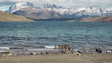 Die Anden, das Nationalheiligtum Chiles.