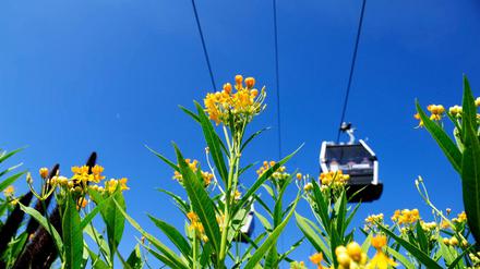 Ferienfeeling in Marzahn dank der Seilbahn.