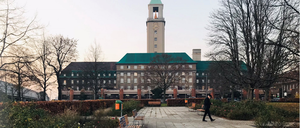 Das Rathaus in besseren Tagen mit Baum.