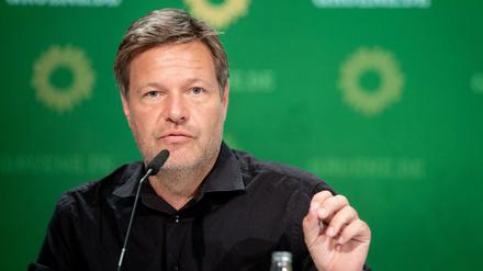 Robert Habeck ist seit Anfang 2018 gemeinsam mit Annalena Baerbock Bundesvorsitzender der Grünen. 