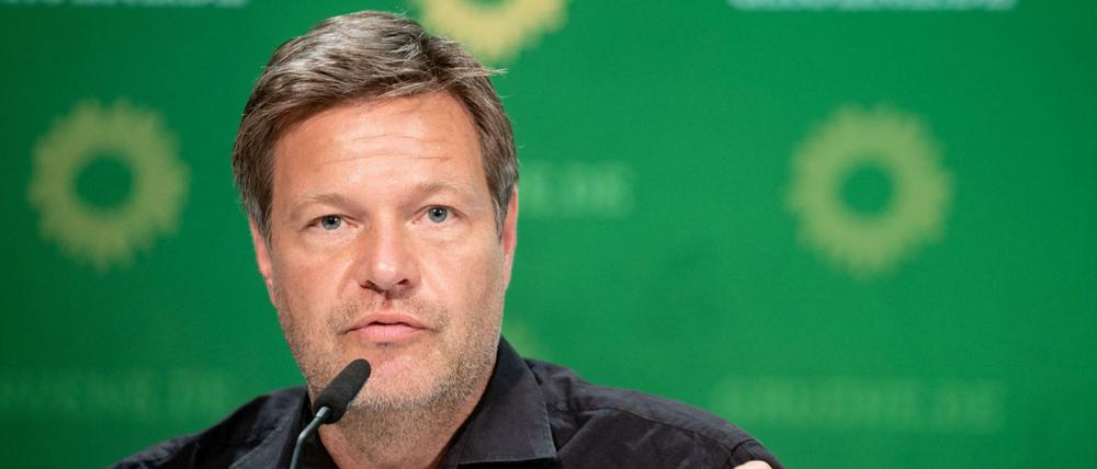 Robert Habeck ist seit Anfang 2018 gemeinsam mit Annalena Baerbock Bundesvorsitzender der Grünen. 