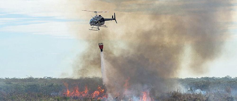 Die Welt mit Fotos beruhigen. Ein Löschhubschrauber überfliegt brennendes Wald- und Buschland. 