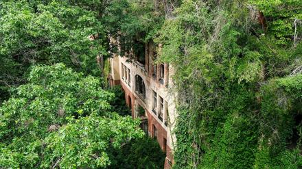 Auf dem Areal der ehemaligen Lungenheilstätten in Beelitz-Heilstätten befindet sich der 320 Meter lange Baumkronenpfad "Baum und Zeit", von dem die Besucher die denkmalgeschützten Gebäude und die Parkanlage betrachten können. Der Pfad überquert auch die Ruine vom 1945 durch einen Brand zerstörten "Alpenhaus". Hier sind Reste der früheren Dachkonstruktion und die seit über 60 Jahren auf dem Dach des Gebäudes wachsenden Bäume zu sehen. 