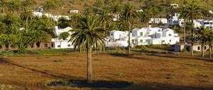 Wem gehört der Schatten der Palme? Weise Erzählungen für Kinder gibt es in dem Erzählband „Die goldene Schatztruhe“.