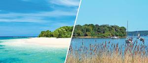 Karibik? Kälberwerder! Auch Berlin ist nah am Wasser gebaut.