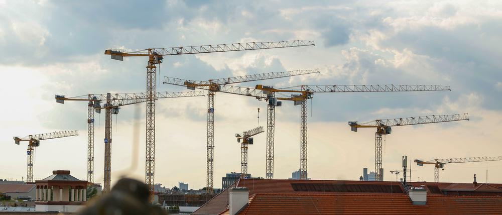 Die Entwürfe sehen zwischen 5300 und 6000 Wohnungen vor – auch wie viele Etagen die Gebäude haben sollen, variiert.