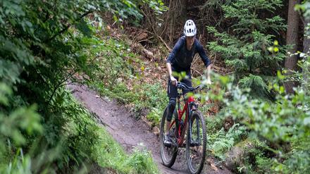 Ein illegaler Trail im Nürnberger Reichswald