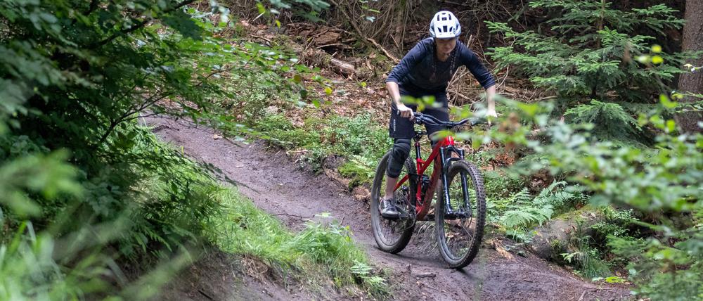 Ein illegaler Trail im Nürnberger Reichswald