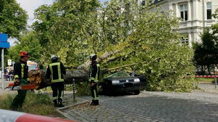 Der Baum beschädigte das Auto starkt.