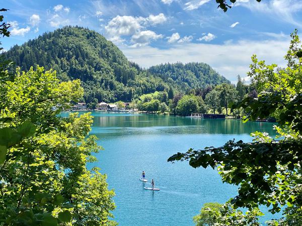 Diesen Sommer ist es außergewöhnlich ruhig auf dem See von Bled.