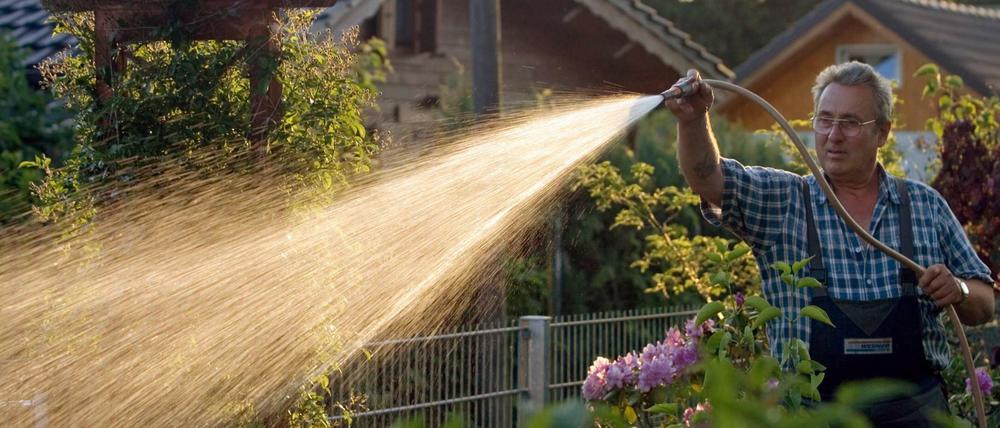 Grünes Paradies: Ein Laubenpieper wässert seinen Garten. (Archivbild)