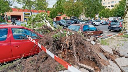 Das Gewitter am Montag traf vor allem die nördliche Innenstadt wie hier in der Erich-Weinert-Straße in Prenzlauer Berg. Die Häufung trockenheißer Sommer und ihr teils stattliches Alter erhöhen die Bruchgefahr der Berliner Straßenbäume.