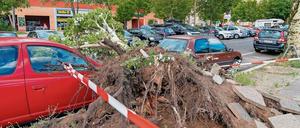 Das Gewitter am Montag traf vor allem die nördliche Innenstadt wie hier in der Erich-Weinert-Straße in Prenzlauer Berg. Die Häufung trockenheißer Sommer und ihr teils stattliches Alter erhöhen die Bruchgefahr der Berliner Straßenbäume.
