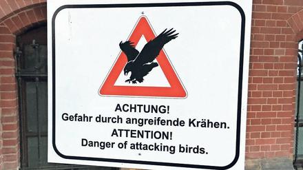 Krasse Krähe. Selbst die Bundespolizei weiß sich nicht zu helfen. 