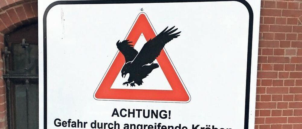Krasse Krähe. Selbst die Bundespolizei weiß sich nicht zu helfen. 