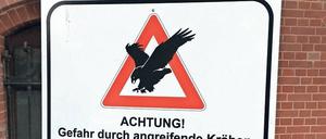 Krasse Krähe. Selbst die Bundespolizei weiß sich nicht zu helfen. 