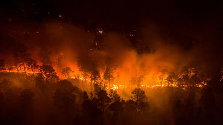 Das Foto zeigt einen Waldbrand in der Region Krasnojarsk.