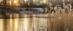 Symbolbild. Tochter fällt ins Wasser, Vater will helfen – und stirbt.