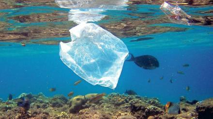 Wenn es den politischen Willen gäbe, ließe sich die Plastikflut erfolgreich bekämpfen, sagen die Forscherinnen.