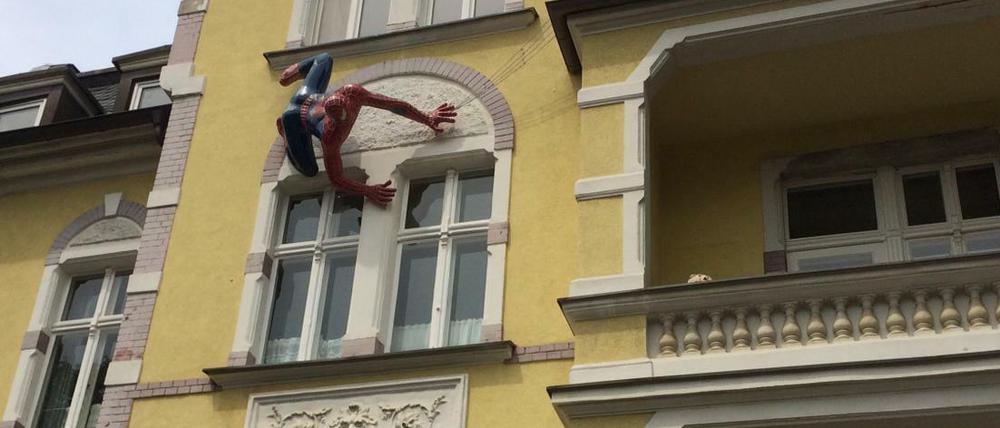 Überraschender Besucher an einer Villenfassade in der Lichterfelder Ringstraße.