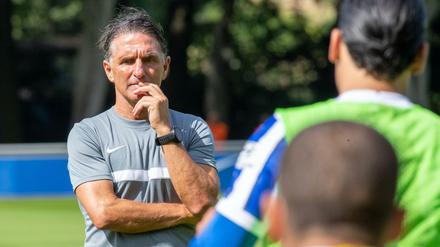 Nachdenklich: Bruno Labbadia sucht eine neue Hierarchie bei Hertha.