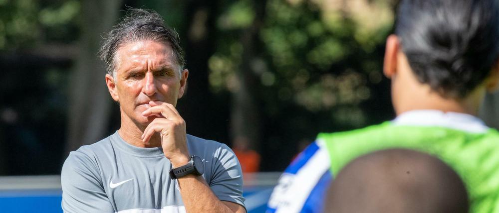 Nachdenklich: Bruno Labbadia sucht eine neue Hierarchie bei Hertha.