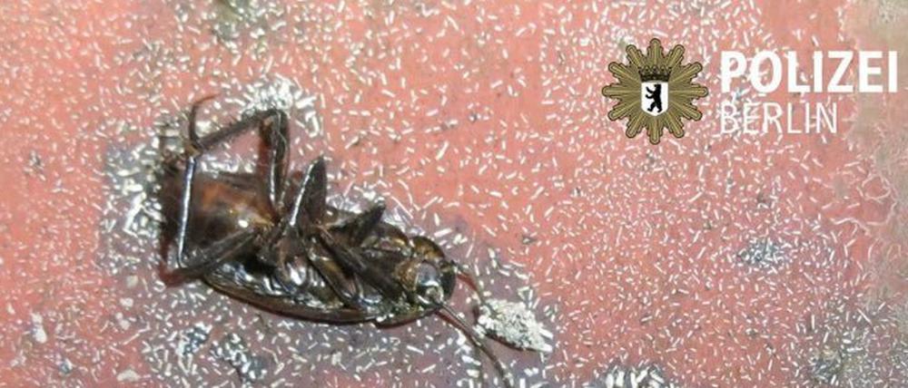 Dieses Foto veröffentlichte die Polizei nach einer Kontrolle in der Großbäckerei Höhn. Zu selten erfährt die Öffentlichkeit davon.