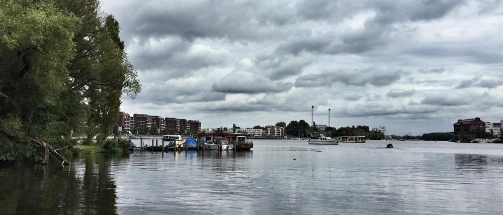 Die Rummelsburger Bucht soll sauberer werden.