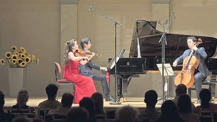 Das Amatis Trio aus Amsterdam: Die Geigerin Lea Hausmann, der Pianist Menjie Han und der Cellist Samuel Shepherd. 