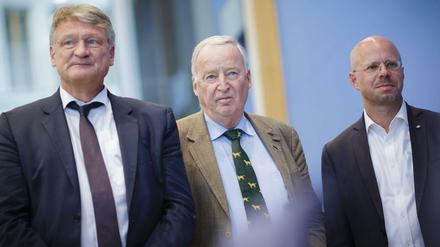 Joerg Meuthen, Alexander Gauland und Andreas Kalbitz (von links)