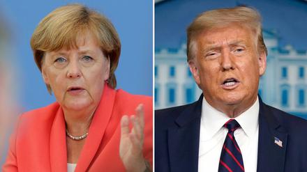 Wer ist schlauer? Trumps Nicht Mary hat eine eindeutige Antwort.