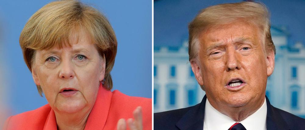Wer ist schlauer? Trumps Nicht Mary hat eine eindeutige Antwort.