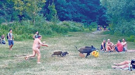 Ein Foto, das um die Welt ging: Der FKK-Bader jagt die Sau am Teufelssee